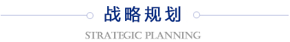 战略规划